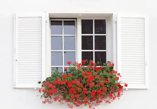 infissi-esterni-persiane